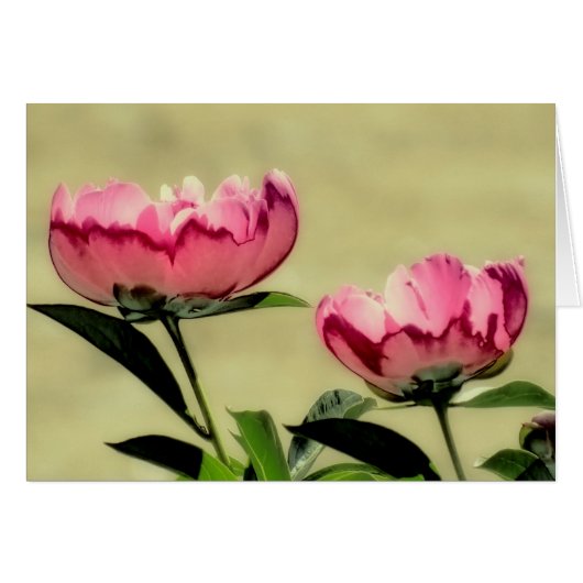 Spring Peonies in Pink (Front Horizontal)
