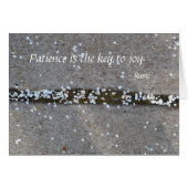 Spring Petals Rumi Joy (Front Horizontal)