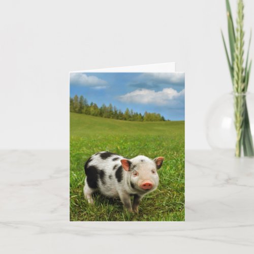Spring piglet card