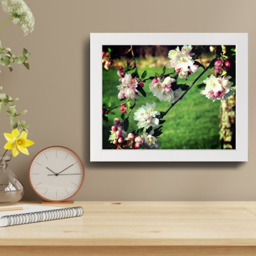 Spring Pink And White Blossoms Framed Framed Art