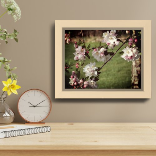 Spring Pink And White Blossoms Vintage Framed Framed Art