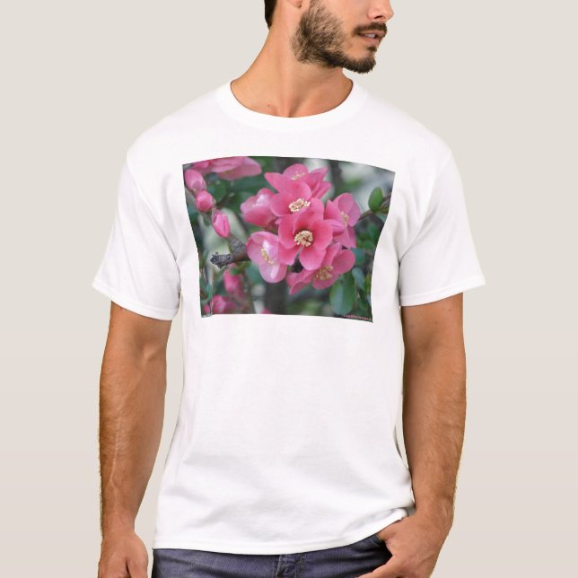 Spring Pink Blooming Flowering Quince T-Shirt (Front)