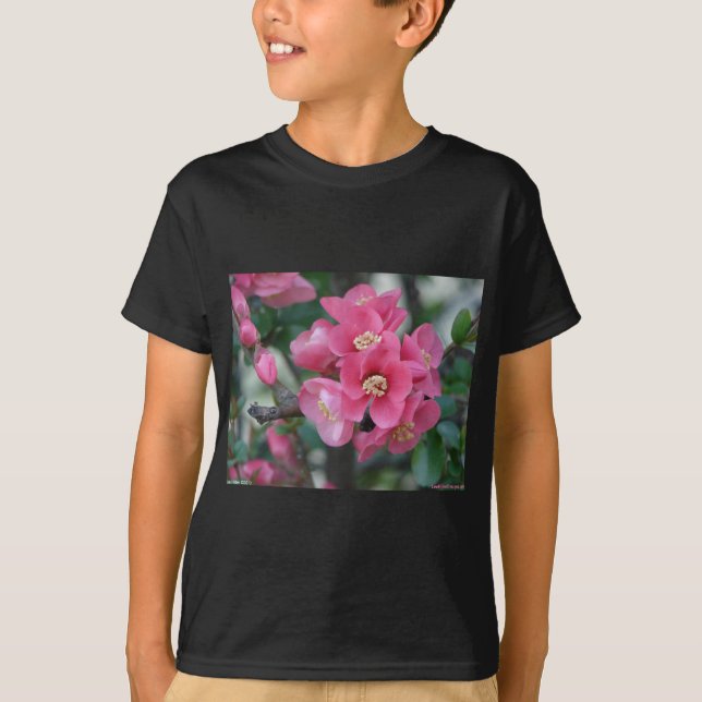 Spring Pink Blooming Flowering Quince T-Shirt (Front)