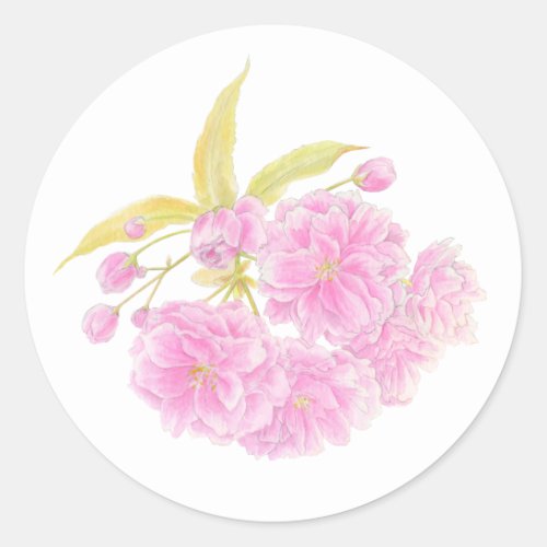 Spring pink cherry blossom flower sticker