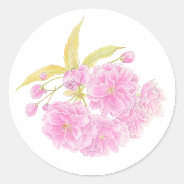 Spring pink cherry blossom flower sticker (Front)
