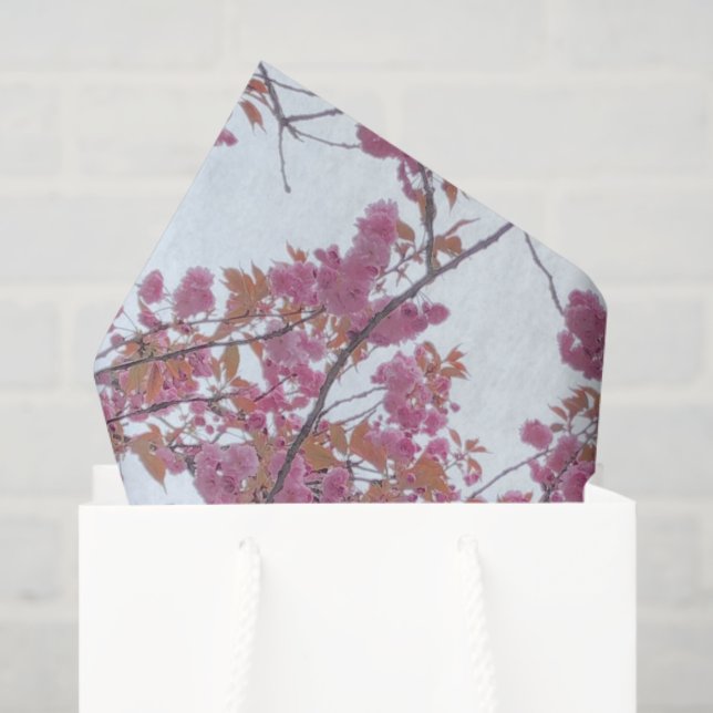 Spring Pink Cherry Blossoms Blue Sky Hanami        Tissue Paper (Gift Bag)