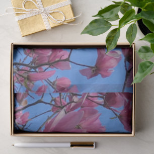 Spring Pink Magnolia Blossoms Blue Sky Hanami Tissue Paper