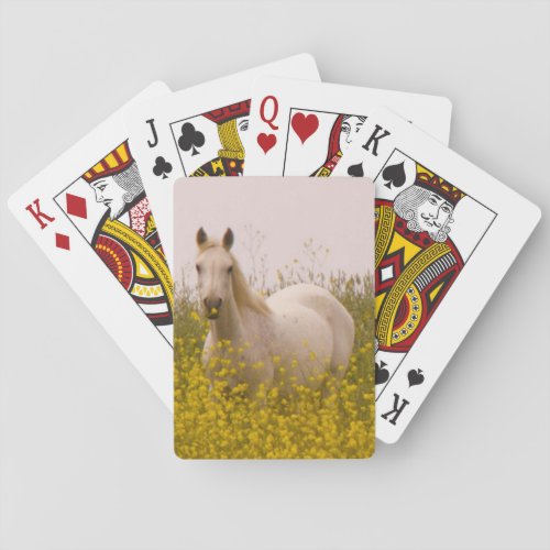 Spring Playing Cards