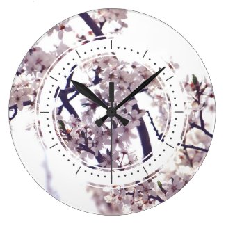 Spring Plum Blossom Tree Elegant Nature Photo
