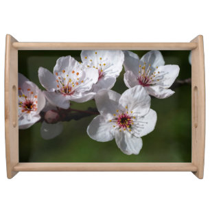 Spring plum blossoms serving tray