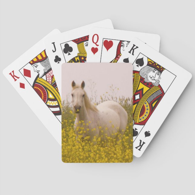 Spring Poker Cards (Back)