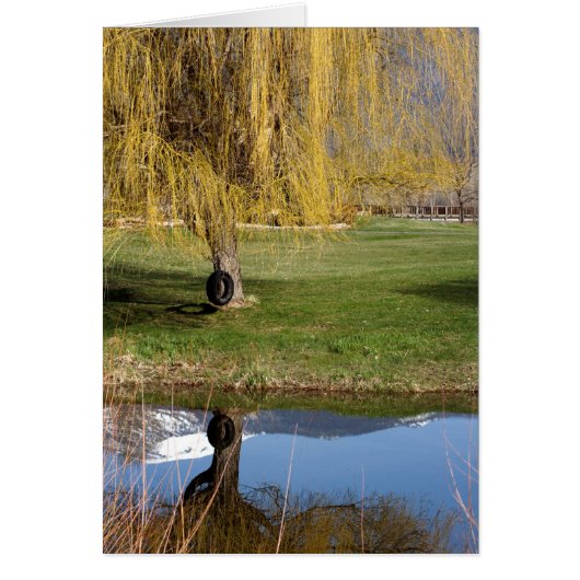 Spring Pond Comfort Card (Front)