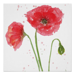 Spring Poppies Poster