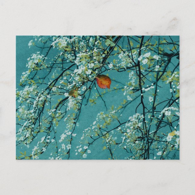 Spring Postcard (Front)