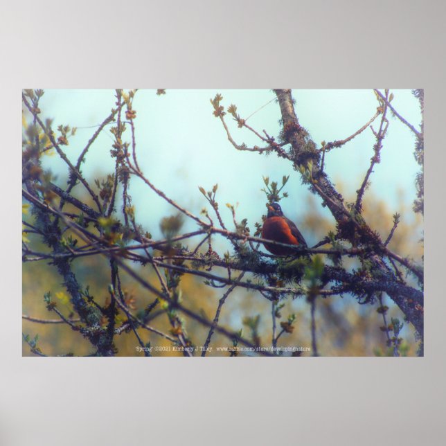 Spring Poster (Front)