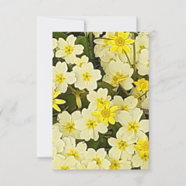Spring Primroses Card (Front)