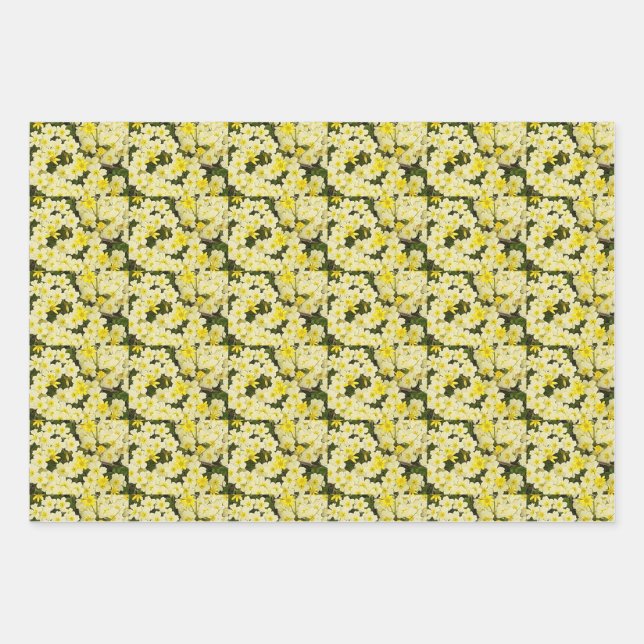 Spring Primroses Wrapping Paper Sheets (Front)