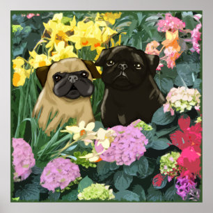 Spring Pugs Poster