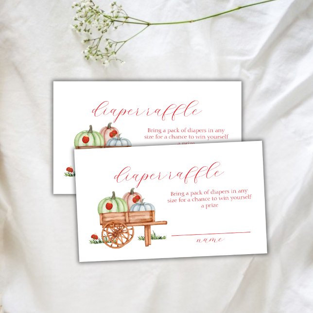 Spring Pumpkin Labybug Diaper Raffle Baby Shower Enclosure Card (Spring Pumpkin Labybug Diaper Raffle Baby Shower Enclosure Card)