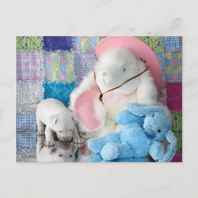 Spring Puppy Love Postcard (Front)