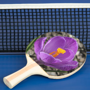 Spring Purple Crocus Flower Nature Photography Ping Pong Paddle