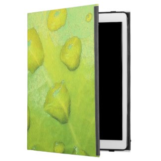 Spring Rain Abstract iPad Pro Case