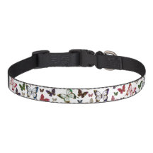 Spring Rainbow Marble Butterfly Spring Pattern