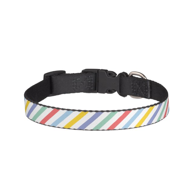 Spring Rainbow Striped Pet Collar (Front)