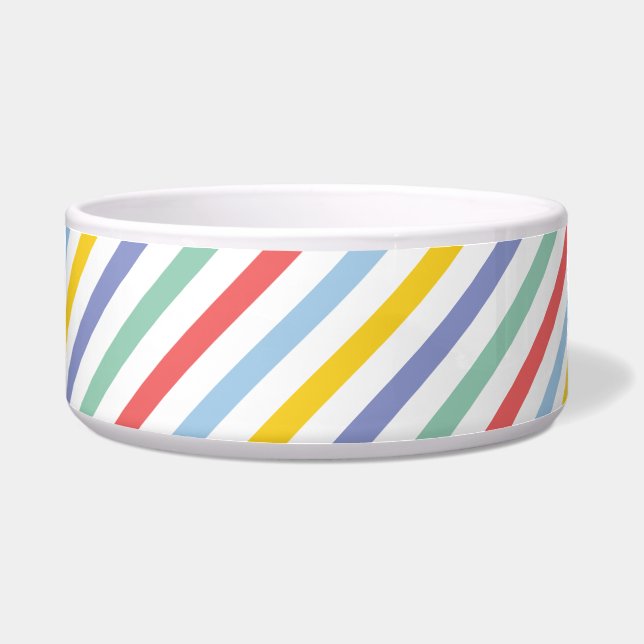 Spring Rainbow Stripes Large Pet Bowl (Front)