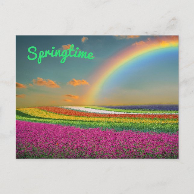 Spring Rainbow Vibrant Colorful Flowers Postcard (Front)