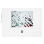 Spring Reach-Out/Cherry Blossoms Blank Cards (Back Horizontal)