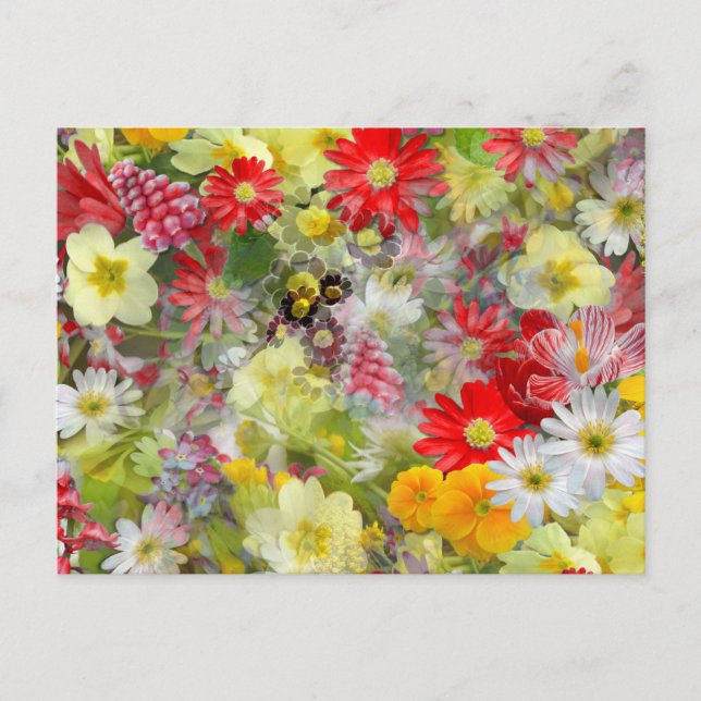 Spring Red and Yellow Flowers Postcard (Front)