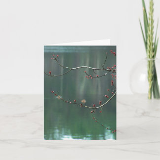 Spring Red Buds Reflections Note Card