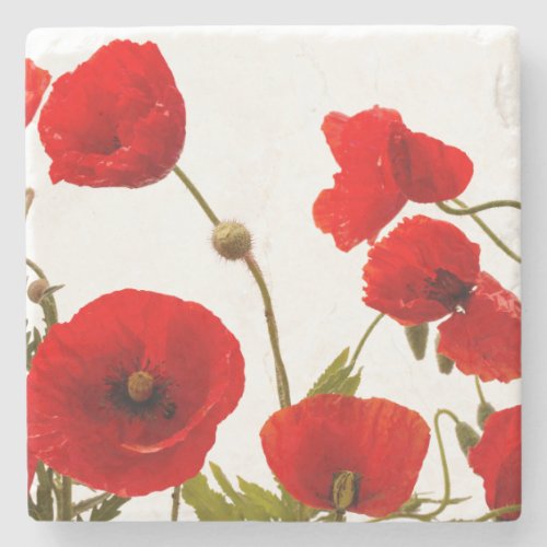 Spring Red Poppy Flowers Floral White Trendy Cute Stone Coaster