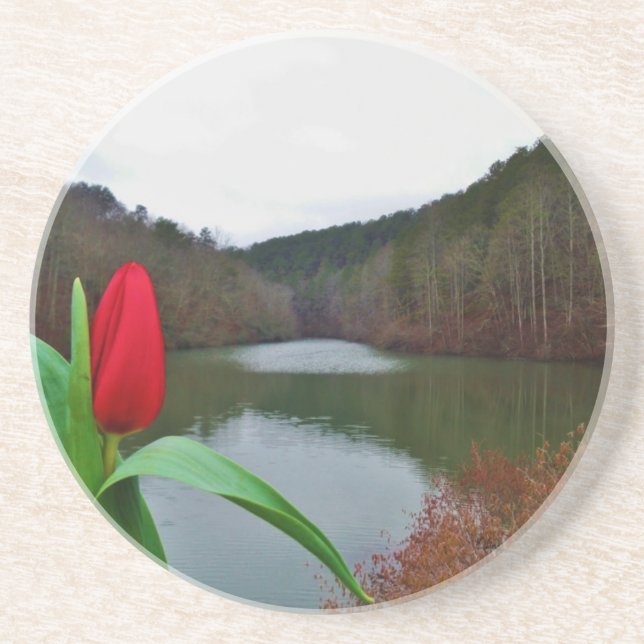 Spring Red Tulip at Lake Arrowhead Drink Coaster (Front)