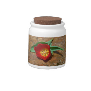 Spring Red Tulip Candy Jar