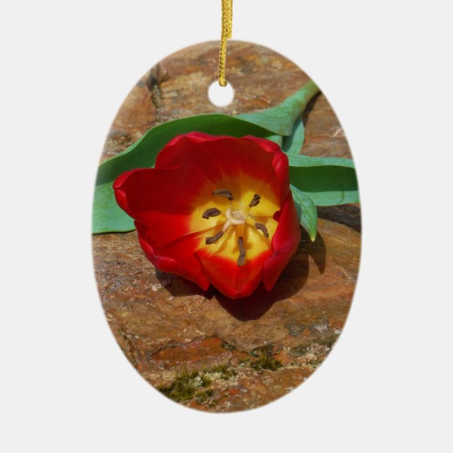 Spring Red Tulip Ceramic Ornament (Front)