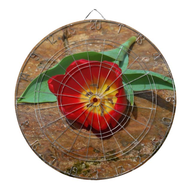 Spring Red Tulip Dart Board (Front)