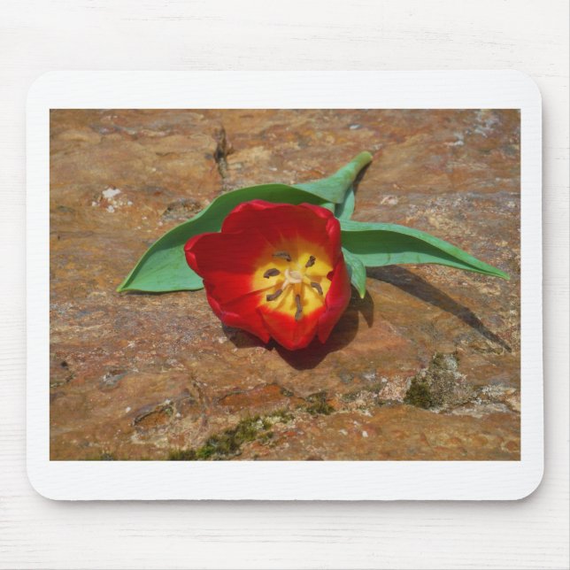 Spring Red Tulip Mouse Pad (Front)