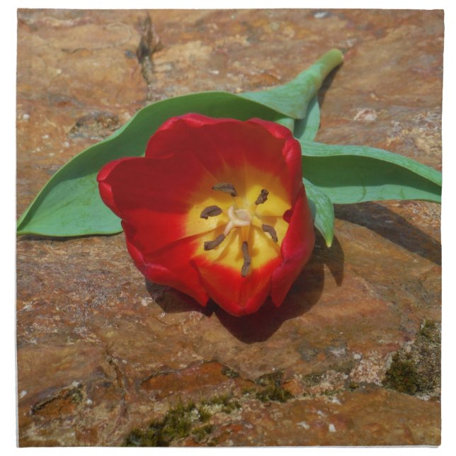 Spring Red Tulip Napkin (Front)