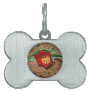 Spring Red Tulip Pet Tag
