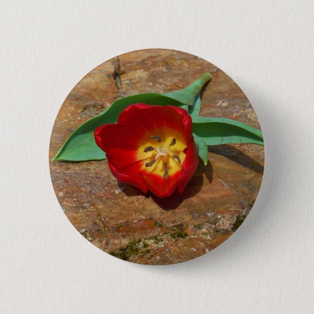 Spring Red Tulip Pinback Button (Front)