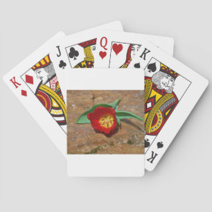 Spring Red Tulip Poker Cards