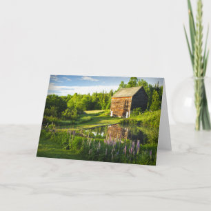 Spring Reflections in the Adirondacks, N.Y. Card