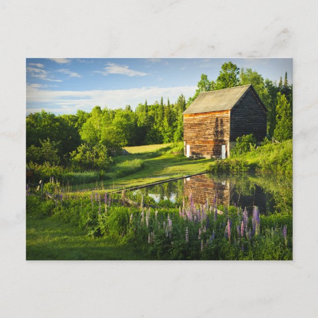 Spring Reflections in the Adirondacks, N.Y. Postcard (Front)
