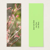 Spring Renewal (Front & Back)