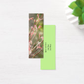 Spring Renewal (Desk)