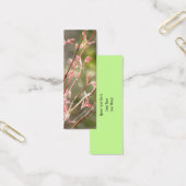 Spring Renewal (Office)