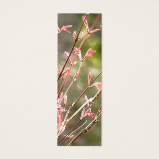 Customizable Spring Renewal Business Card Templates