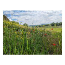 Spring riverside photography